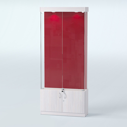 Витрина для медалей ИС-31-А (задняя стенка бархат), Ясень Анкор светлый