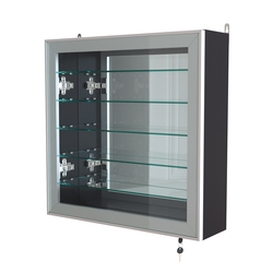 Витрина настенная №1-6А с пятью полками и зеркальной стенкой серии Collecto, Антрацит