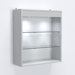 Витрина настенная №201-3Г открытая с подсветкой, Серый