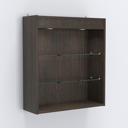 Витрина настенная №201-3Г открытая с подсветкой, Дуб Венге