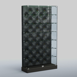 Низкая стеклянная витрина КАПИТОНЕ №9-ХП, Черный + Экокожа черная