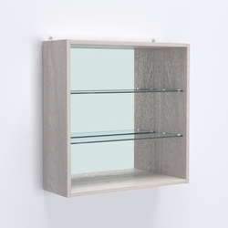 Витрина настенная №201-2Г открытая с зеркалом, Ясень Анкор светлый