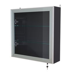 Витрина настенная №1-1А с прозрачными полками серии Collecto, Антрацит