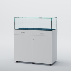 Витрина для музеев "Коллекция" №16, Белый