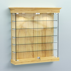 Витрина для музеев "Коллекция" настенная №2-5, Дуб Золотистый