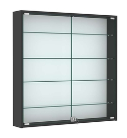 Витрина настенная №4-1А с узкими прозрачными полками, Черный