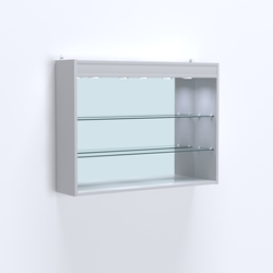 Витрина настенная №203-4Г зеркальная без дверей со стеклянными полками и верхней подсветкой, Серый