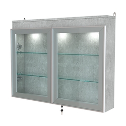 Витрина настенная №3-3А широкая с двумя полками и фризом серии Collecto, Серый