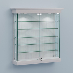 Витрина для музеев "Коллекция" настенная №2-5А-РЕГ, Ясень Анкор светлый