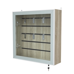 Витрина настенная №1-1Б с эконом панелью серии Collecto, Дуб Сонома