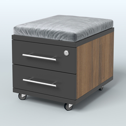 Тумба Лиани 2 ящика с подушкой, Орех + Черный