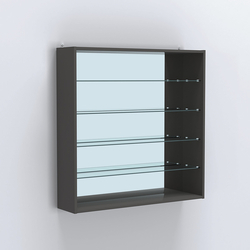 Витрина настенная №204-2Г открытая с прозрачными полками и зеркалом, Черный