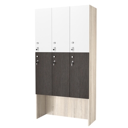 Шкаф для раздевалок СТАНДАРТ-ДУО №3-3, Дуб сонома + Дуб Венге + Белый