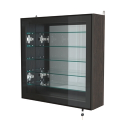 Витрина настенная №1-6А с пятью полками и зеркальной стенкой серии Collecto, Дуб Венге