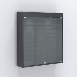 Витрина настенная №204-2Б закрытая с экономпанелью и фризом, Антрацит