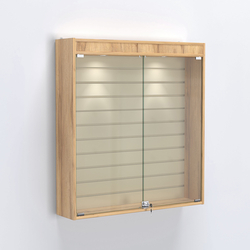 Витрина настенная №204-2Б закрытая с экономпанелью и фризом, Дуб Золотистый