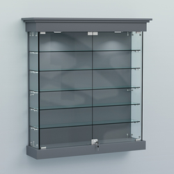 Витрина для музеев "Коллекция" настенная №2-5, Темно-Серый