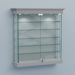 Витрина для музеев "Коллекция" настенная №2-5А-РЕГ, Серый