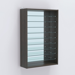 Витрина настенная №202-6Г открытая с девятью полками и зеркалом, Дуб Венге