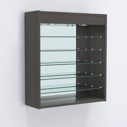 Витрина настенная №201-8Г открытая с пятью узкими полками, подсветкой и зеркалом, Черный