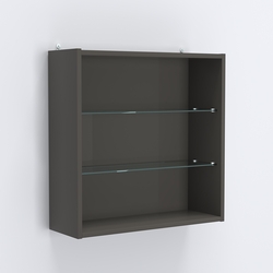 Витрина настенная №201-1Г с двумя полками, Черный