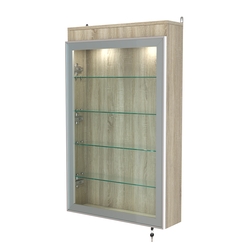 Витрина настенная №2-3А с четырьмя полками и подсветкой серии Collecto, Дуб Сонома