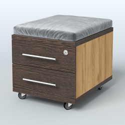 Тумба Лиани 2 ящика с подушкой, Дуб Золотистый + Дуб Венге