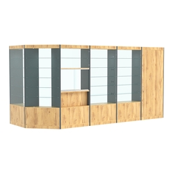 Павильон №9 из ДСП (6, 58 кв. м), Темно-серый и Дуб Золотистый