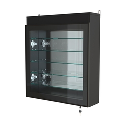 Витрина настенная №1-8А с пятью полками, подсветкой и зеркалом серии Collecto, Черный