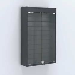 Витрина настенная №202-2Б с эконом панелью и верхней подсветкой, Антрацит