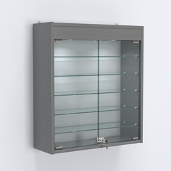 Витрина настенная №201-7А с пятью полками из стекла и верхней подсветкой, Темно-Серый