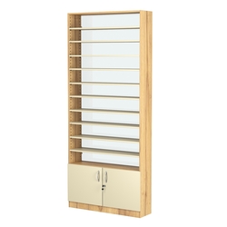 Стеллаж из ДСП с 10-ю полками 250x900 мм серии LEVEL-10 №11-1 (З/C - СТЕКЛО), Дуб Золотистый и Крем Вайс