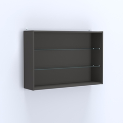 Витрина настенная №203-1Г открытая с двумя полками из стекла, Черный