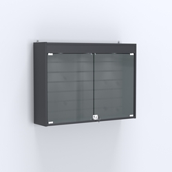 Витрина настенная №203-2Б широкая со встроенной подсветкой , Антрацит