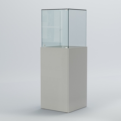 Витрина для музеев "Коллекция" №10, Серый