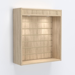 Витрина настенная №201-2В открытая с эконом панелью и подсветкой, Дуб Сонома