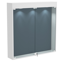 Витрина настенная БАРОН для медалей №4-4А, Серый + 11 Blue