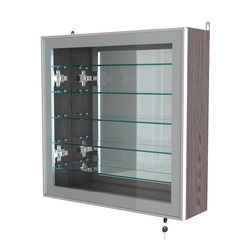 Витрина настенная №1-6А с пятью полками и зеркальной стенкой серии Collecto, Ясень Анкор темный