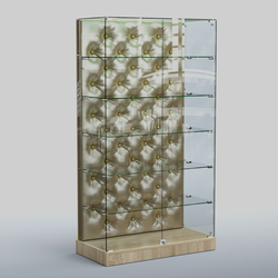 Низкая стеклянная витрина с КРЕМОВЫМ БАРХАТОМ ХП-505 (карета золото), Дуб сонома + Экокожа золотистая