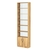 Стеллаж из ДСП с 5-ю полками 250x600 мм серии LEVEL-5 №4-1 (З/C - СТЕКЛО) Дуб Золотистый