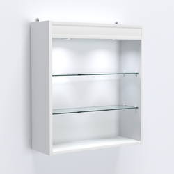 Витрина настенная №201-3Г открытая с подсветкой, Белый