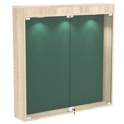 Витрина настенная БАРОН для медалей №4-4А, Дуб сонома + 10 Green