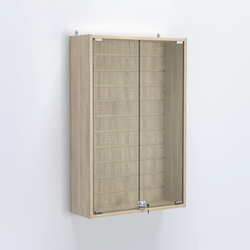 Витрина настенная №202-1Б с эконом панелью и стеклянными дверками, Дуб Сонома