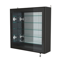 Витрина настенная №1-6А с пятью полками и зеркальной стенкой серии Collecto, Черный