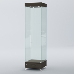 Витрина для музеев "Коллекция" №7, Черный