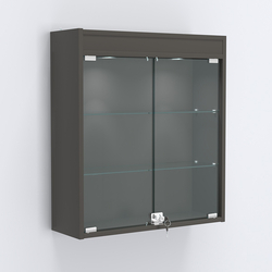 Витрина настенная №201-3А с прозрачными полками и фризом с подсветкой, Черный