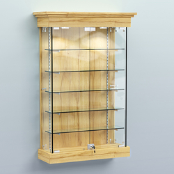 Витрина для музеев "Коллекция" настенная №1-5-РЕГ, Дуб Золотистый
