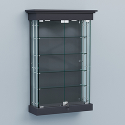 Витрина для музеев "Коллекция" настенная №1-4А-РЕГ, Антрацит