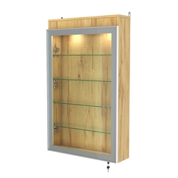 Витрина настенная №2-3А с четырьмя полками и подсветкой серии Collecto, Дуб Золотистый