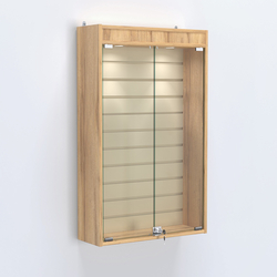 Витрина настенная №202-2Б с эконом панелью и верхней подсветкой, Дуб Золотистый